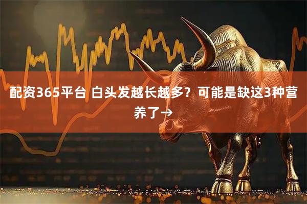配资365平台 白头发越长越多？可能是缺这3种营养了→